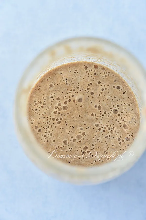 Zakwas Aktywny zakwas