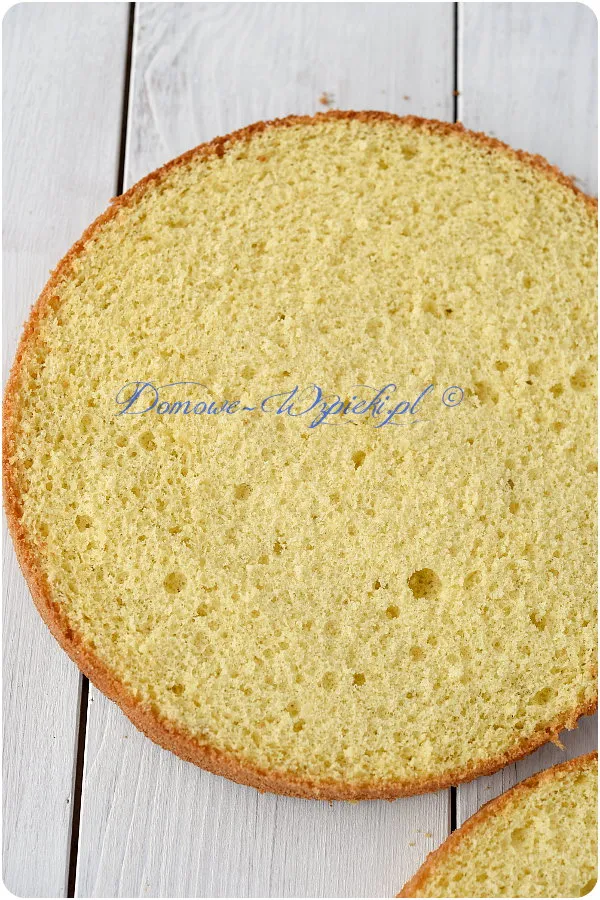 Biszkopt genueński Biszkopt genueński